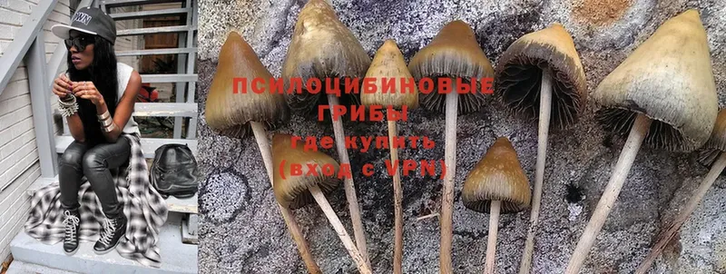 Псилоцибиновые грибы Magic Shrooms Шатура